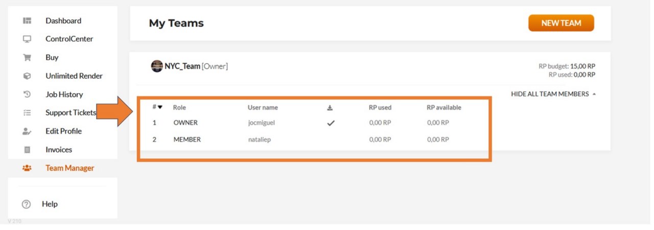 Teammitglied RenderPoint-Status