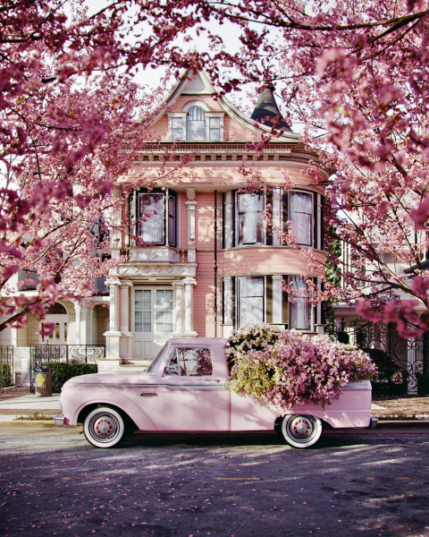 Pink Victorian house