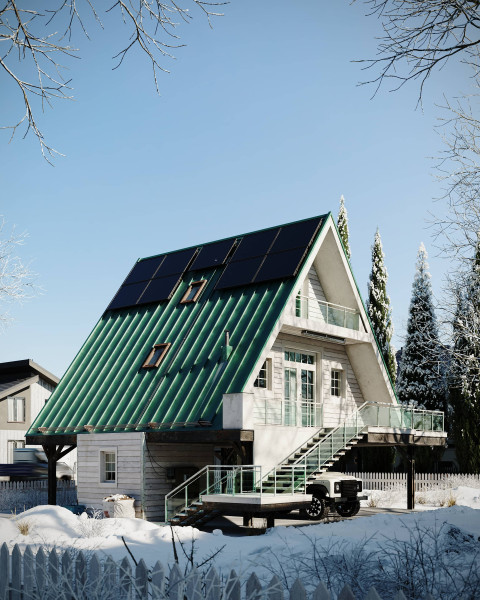 Coldest winter 3d cabin