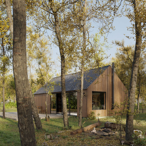 rendered cabin in the forest