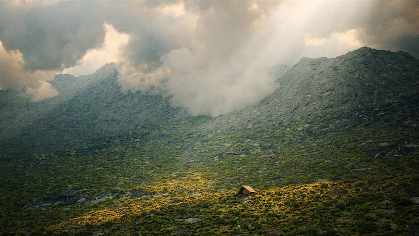 The Making of ''Cabin Study'' by Pedro Machado