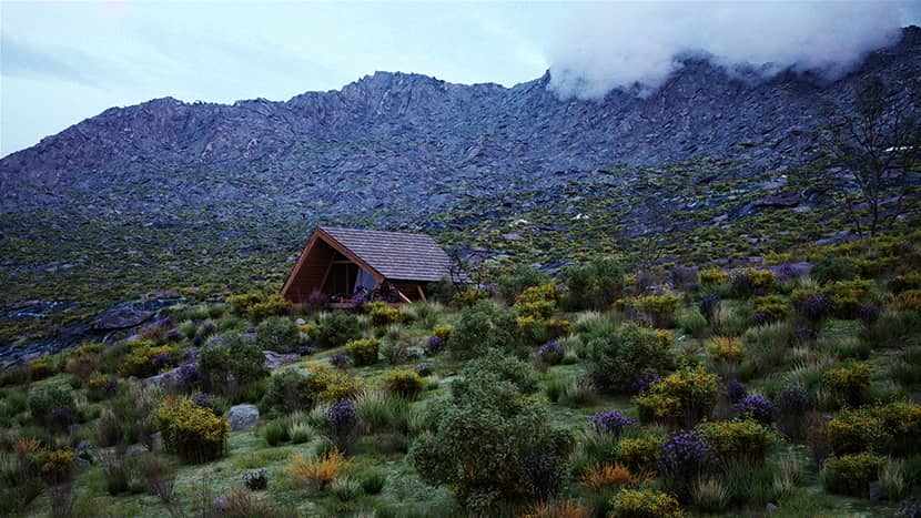 The Making of ''Cabin Study'' by Pedro Machado